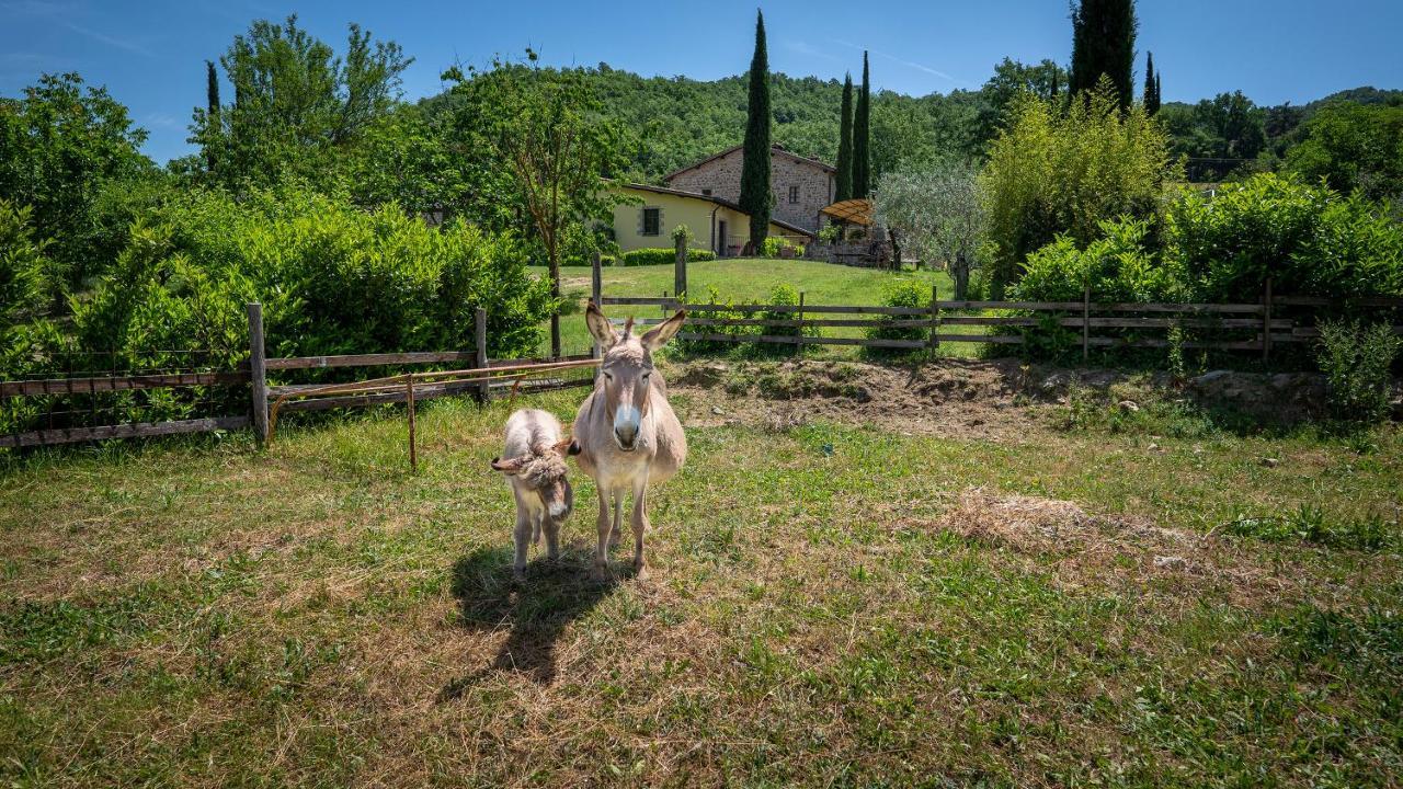 Agriturismo I Pietrini Perugia Exterior foto